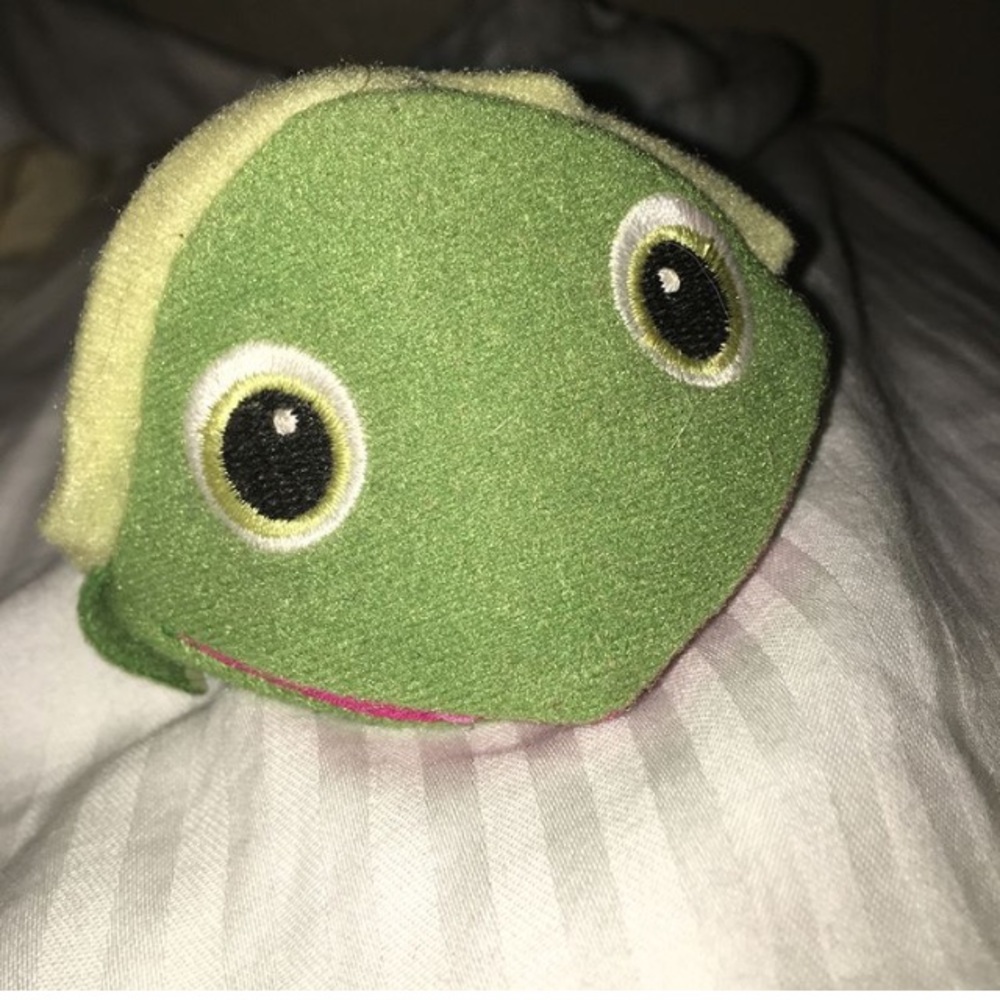 Frog holder
